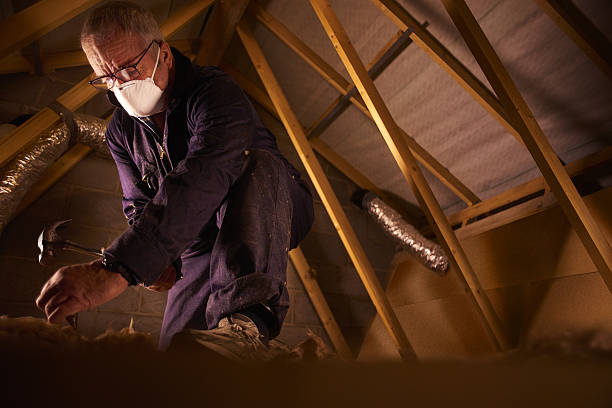 Best Insulation Installation Services in Huntsville, TN